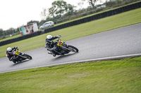 Advanced Group Black Bikes